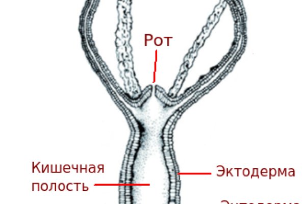 Кракен сайт что это