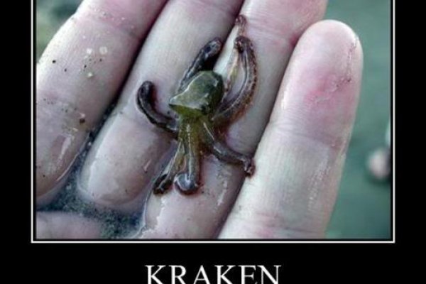 Kraken ссылка для тору